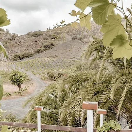 Casa Los Lirios Country house *